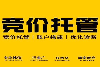 SEM优化师实战案例解析：提升广告效果